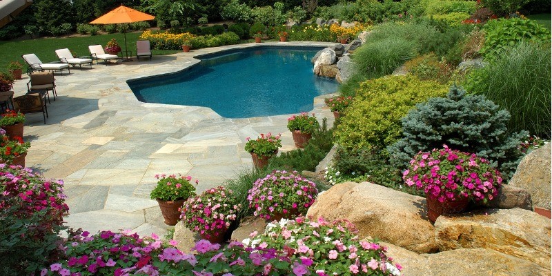 Backyard Rock Garden