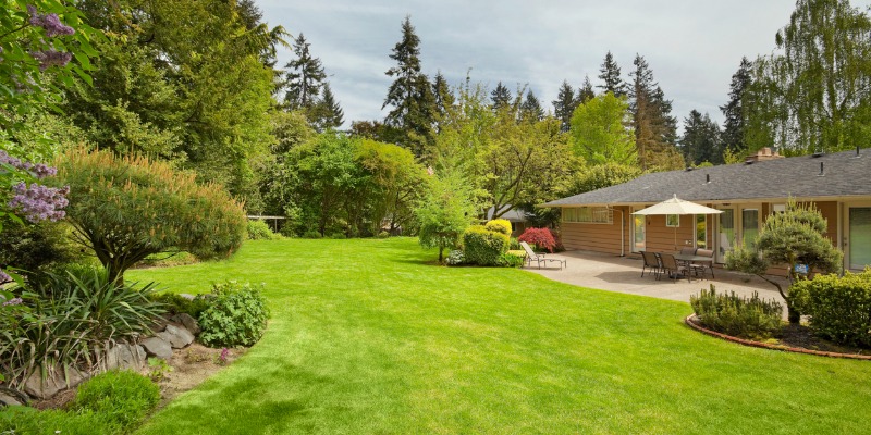 Tips for Landscaping on a Budge