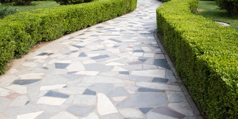 Flagstone walkway with shrubs lining walkway