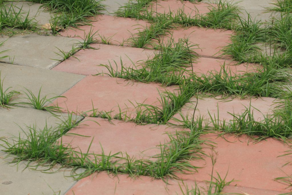 Repairing Interlocking Pavers