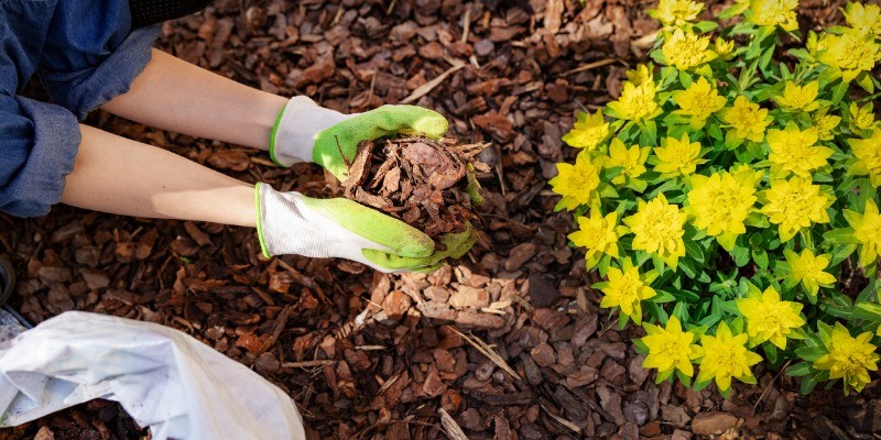 lady adding mulch to garden