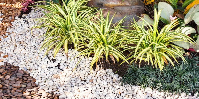 Garden bed with stones
