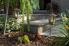 landscape lighting