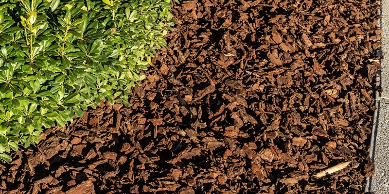 mulch in garden beside path