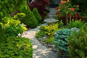 natural stone walkway