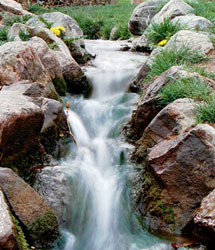 Nature natural stone pond