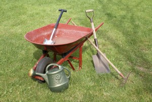 Get Dad new garden tools if his old ones need replacing