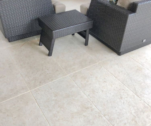 Porcea Seashell   Project 2