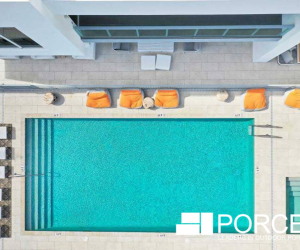 Porcea Seashell   Project 3