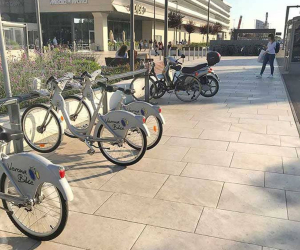 Porcea Seashell   Shopping Mall   3