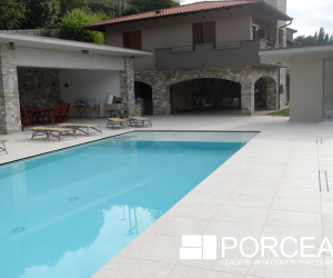 Porcea Stone   Porcea Seashell   4