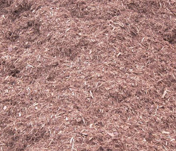 Pine Mulch