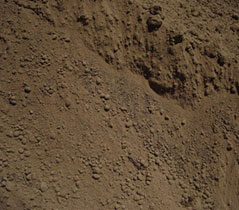 topdressing with soil