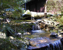 natural stone ponds