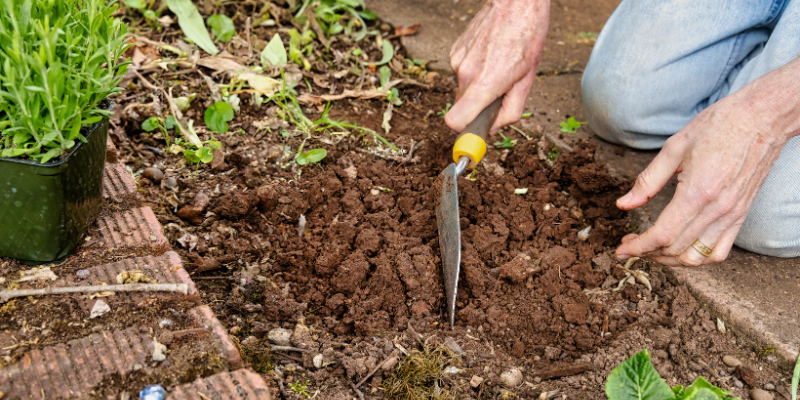 How to Choose the Best Topsoil