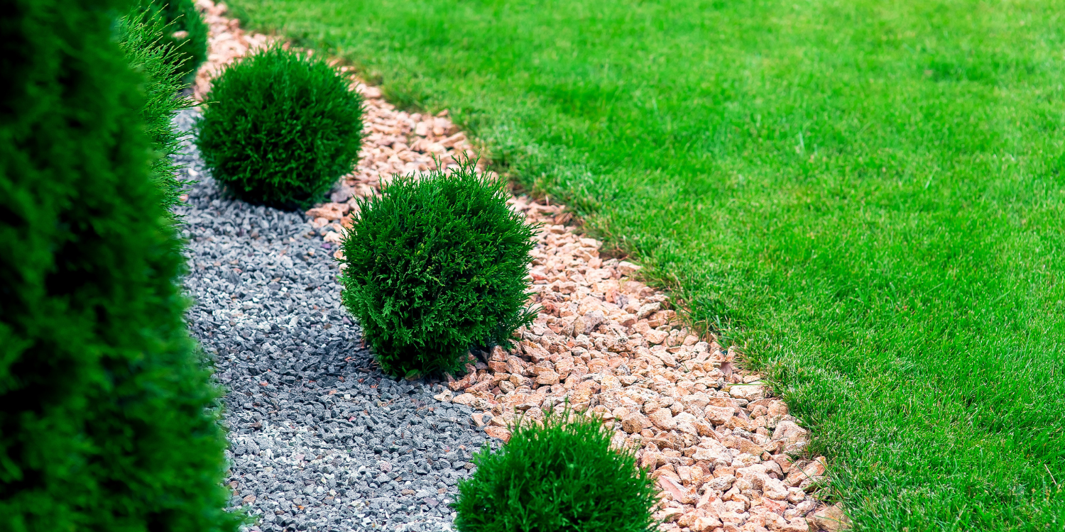 Two Types of mulch in garden bed - 10 Mulch FAQs on Types, Benefits, and Effective Usage in Your Garden