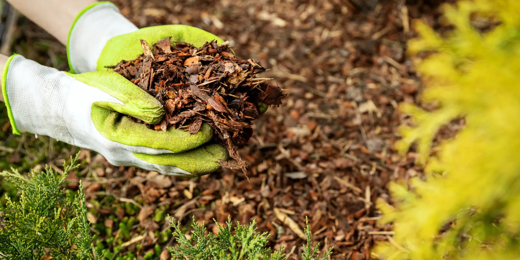 Landscaping Products and Materials