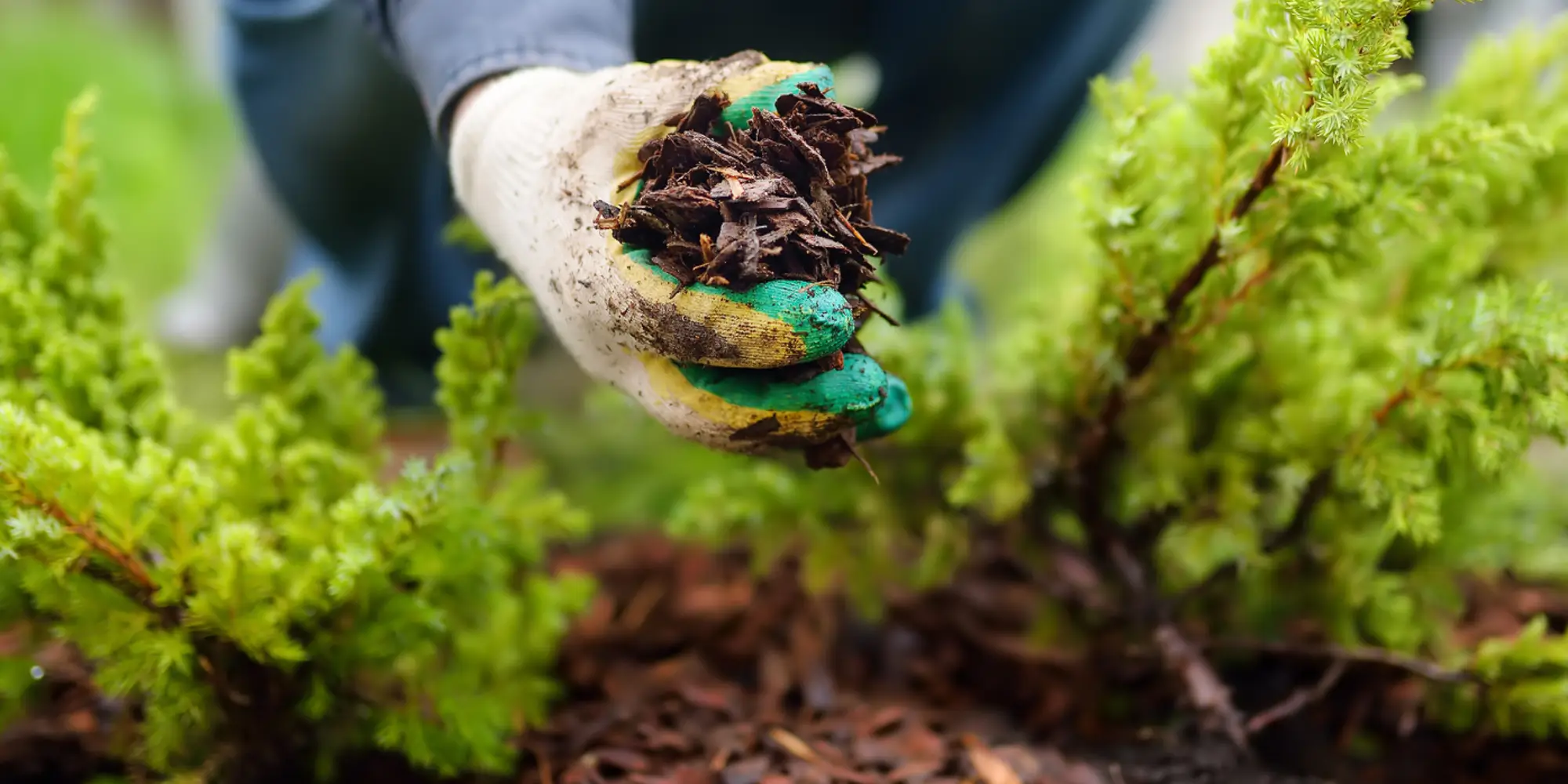 Landscaping Products and Materials